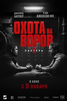 Обложка фильма Охота на воров-2: Пантера+16