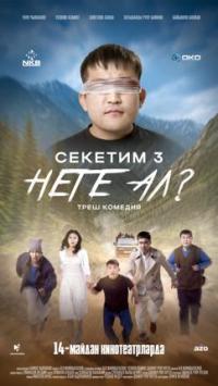 Обложка фильма Секетим 3: Неге Ал?
